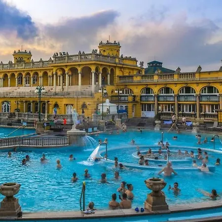 Liszt With Balcony And Garage Available -symphony 1 Apartament