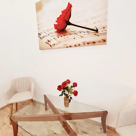 아파트 Liszt With Balcony And Garage Available -symphony 1